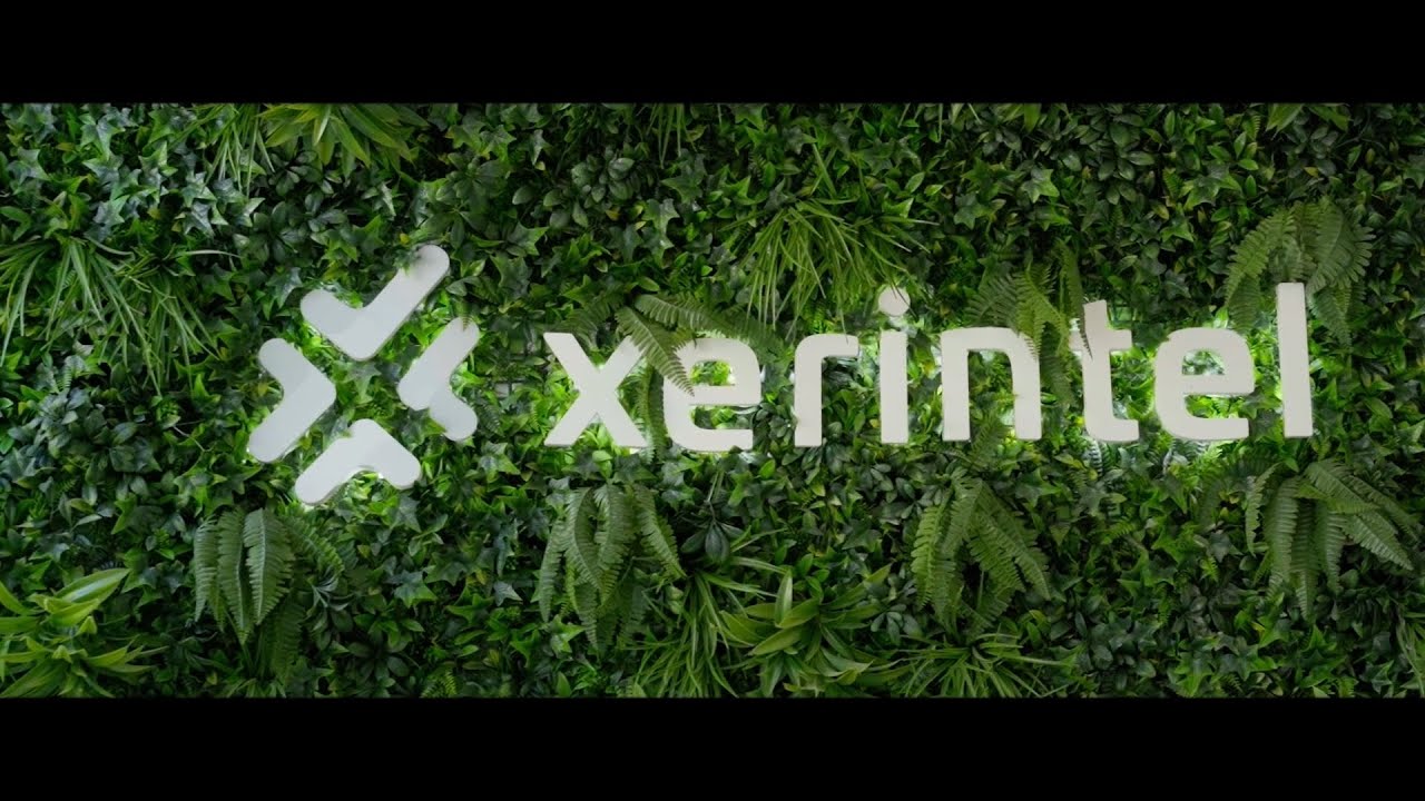 Oficinas de Xerintel en el centro histórico de Jerez de la Frontera